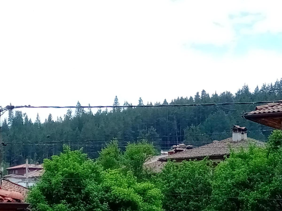 Стаи За Гости Милена Koprivștița Exterior foto